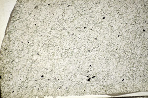 Plane Polarized, S84180