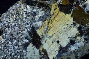 Cross Polarized, S84181