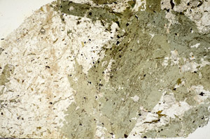 Plane Polarized, S84181