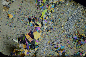 Cross Polarized, S84182