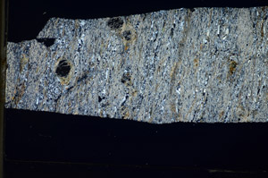 Cross Polarized, S84183