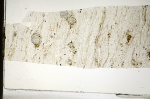 Plane Polarized, S84183