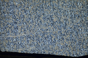 Cross Polarized, S84184