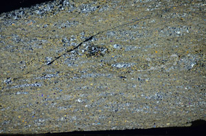 Cross Polarized, S84185