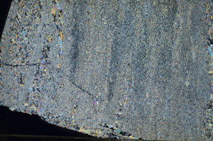 Cross Polarized, S84186