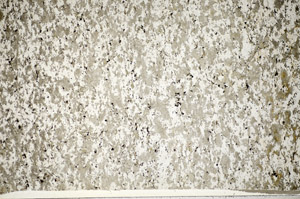 Plane Polarized, S84188