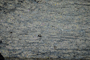 Cross Polarized, S84189