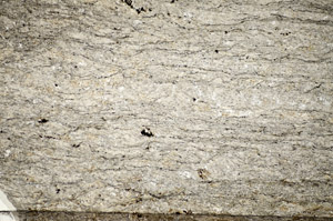 Plane Polarized, S84189