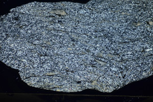 Cross Polarized, S84190