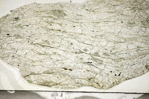 Plane Polarized, S84190