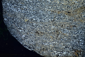 Cross Polarized, S84191