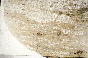 Plane Polarized, S84191