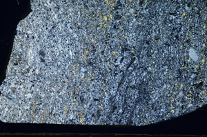 Cross Polarized, S84192