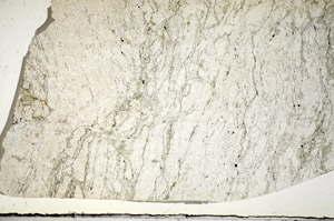 Plane Polarized, S84192