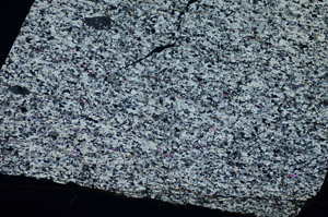 Cross Polarized, S84193