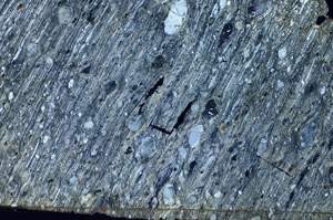 Cross Polarized, S84194