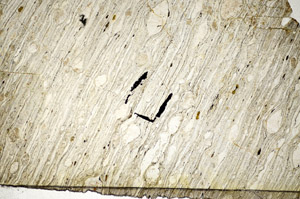 Plane Polarized, S84194