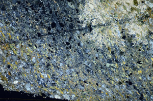 Cross Polarized, S84195