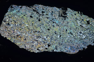 Cross Polarized, S84196