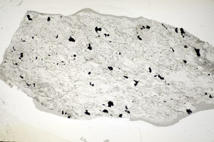 Plane Polarized, S84196