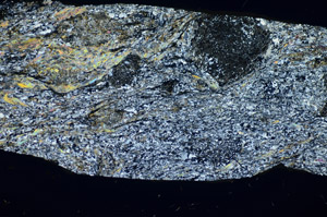 Cross Polarized, S84197