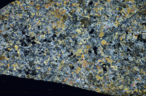 Cross Polarized, S84198