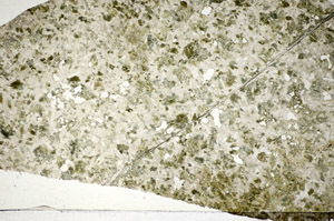 Plane Polarized, S84198