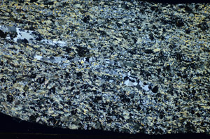 Cross Polarized, S84199