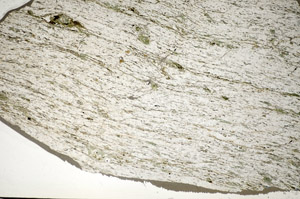 Plane Polarized, S84200