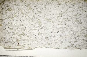 Plane Polarized, S84201