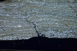 Cross Polarized, S84220