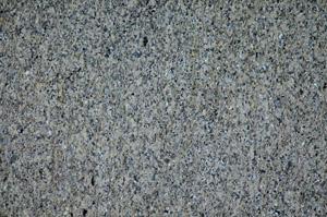 Cross Polarized, S84221