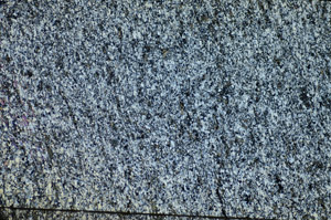 Cross Polarized, S84247