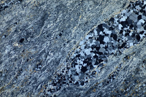 Cross Polarized, S84248