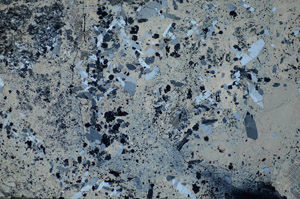 Cross Polarized, S84249