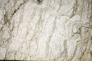 Plane Polarized, S84251