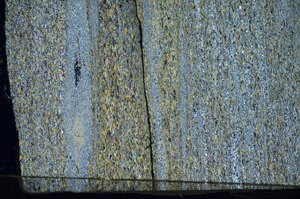 Cross Polarized, S84255