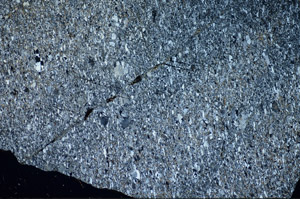 Cross Polarized, S84259