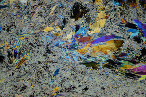 Cross Polarized, S84278