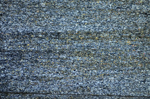 Cross Polarized, S84279