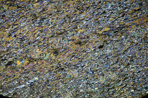 Cross Polarized, S84282