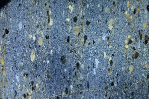 Cross Polarized, S84284