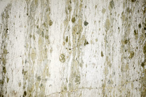 Plane Polarized, S84284