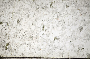 Plane Polarized, S84366