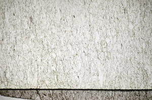 Plane Polarized, S84367