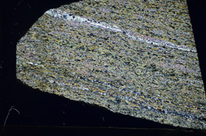 Cross Polarized, S84369