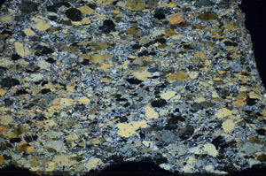 Cross Polarized, S84370