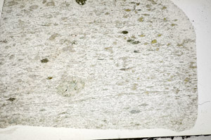 Plane Polarized, S84373