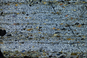 Cross Polarized, S84374