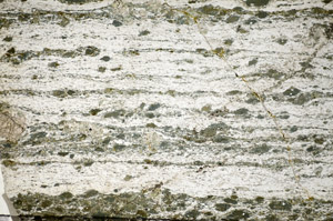 Plane Polarized, S84374